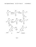 Immunoassay for Phenethylamines of the 2C and DO Sub-Families diagram and image