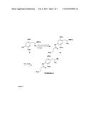 Immunoassay for Phenethylamines of the 2C and DO Sub-Families diagram and image