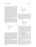 Immunoassay for Phenethylamines of the 2C and DO Sub-Families diagram and image