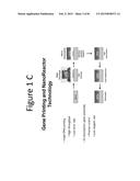 DE NOVO SYNTHESIZED GENE LIBRARIES diagram and image