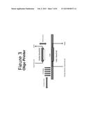 DE NOVO SYNTHESIZED GENE LIBRARIES diagram and image