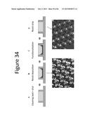 DE NOVO SYNTHESIZED GENE LIBRARIES diagram and image