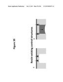 DE NOVO SYNTHESIZED GENE LIBRARIES diagram and image