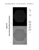 DE NOVO SYNTHESIZED GENE LIBRARIES diagram and image