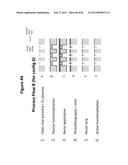 DE NOVO SYNTHESIZED GENE LIBRARIES diagram and image