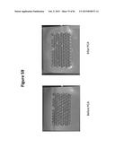 DE NOVO SYNTHESIZED GENE LIBRARIES diagram and image