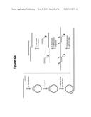 DE NOVO SYNTHESIZED GENE LIBRARIES diagram and image