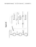 DE NOVO SYNTHESIZED GENE LIBRARIES diagram and image