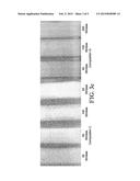 AQUEOUS CLEANING COMPOSITIONS INCLUDING AN ALKYL 3-HYDROXYBUTYRATE diagram and image