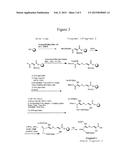 Compounds That Bind to the Erythropoietin Receptor diagram and image