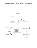 Compounds That Bind to the Erythropoietin Receptor diagram and image