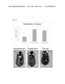 DELIVERY OF THERAPEUTIC AGENTS BY A COLLAGEN BINDING PROTEIN diagram and image