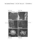 FORMULATIONS AND KITS FOR FORMING BIOADHESIVE MATRICES diagram and image