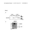 Clusterin Pharmaceuticals and Treatment Methods Using the Same diagram and image