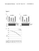 Clusterin Pharmaceuticals and Treatment Methods Using the Same diagram and image