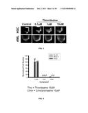 COMBINATION THERAPY FOR THE TREATMENT OF CANCER diagram and image