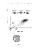 COMBINATION THERAPY FOR THE TREATMENT OF CANCER diagram and image