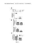 COMBINATION THERAPY FOR THE TREATMENT OF CANCER diagram and image