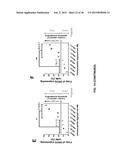 COMBINATION THERAPY FOR THE TREATMENT OF CANCER diagram and image