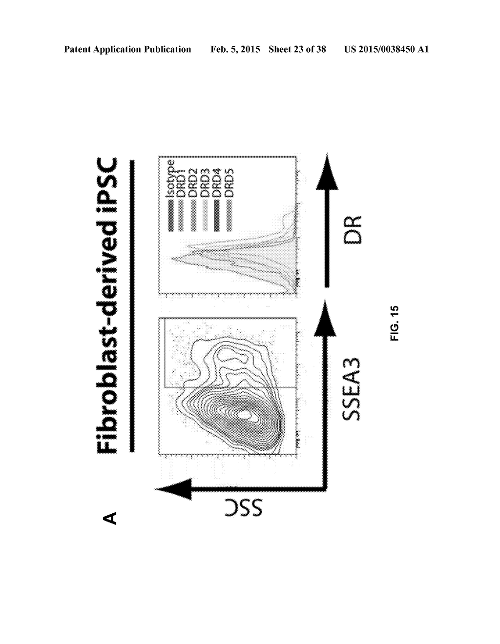 COMBINATION THERAPY FOR THE TREATMENT OF CANCER - diagram, schematic, and image 24