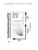 COMBINATION THERAPY FOR THE TREATMENT OF CANCER diagram and image