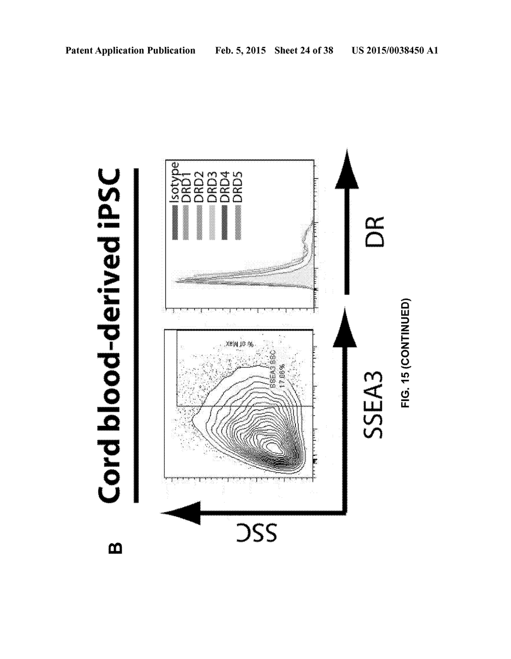 COMBINATION THERAPY FOR THE TREATMENT OF CANCER - diagram, schematic, and image 25