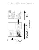 COMBINATION THERAPY FOR THE TREATMENT OF CANCER diagram and image