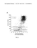 COMBINATION THERAPY FOR THE TREATMENT OF CANCER diagram and image