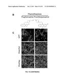 COMBINATION THERAPY FOR THE TREATMENT OF CANCER diagram and image