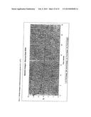 Skin-Protecting Alkalinity-Controlling Composition and the Use Thereof diagram and image