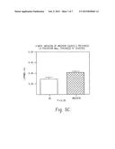 COMPOSITIONS AND METHODS TO TREAT CARDIAC DISEASES diagram and image