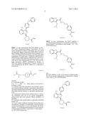 METHODS FOR THE TREATMENT OF SOLID TUMORS diagram and image