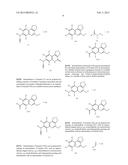 TETRAHYDROPHENANTHRIDINONES AND TETRAHYDROCYCLOPENTAQUINOLINONES AS PARP     AND TUBULIN POLYMERIZATION INHIBITORS diagram and image