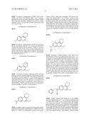 TETRAHYDROPHENANTHRIDINONES AND TETRAHYDROCYCLOPENTAQUINOLINONES AS PARP     AND TUBULIN POLYMERIZATION INHIBITORS diagram and image