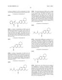 TETRAHYDROPHENANTHRIDINONES AND TETRAHYDROCYCLOPENTAQUINOLINONES AS PARP     AND TUBULIN POLYMERIZATION INHIBITORS diagram and image