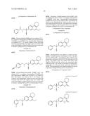 TETRAHYDROPHENANTHRIDINONES AND TETRAHYDROCYCLOPENTAQUINOLINONES AS PARP     AND TUBULIN POLYMERIZATION INHIBITORS diagram and image