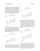 TETRAHYDROPHENANTHRIDINONES AND TETRAHYDROCYCLOPENTAQUINOLINONES AS PARP     AND TUBULIN POLYMERIZATION INHIBITORS diagram and image