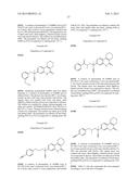 TETRAHYDROPHENANTHRIDINONES AND TETRAHYDROCYCLOPENTAQUINOLINONES AS PARP     AND TUBULIN POLYMERIZATION INHIBITORS diagram and image