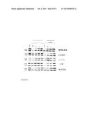 TYROSINE KINASE INHIBITORS diagram and image