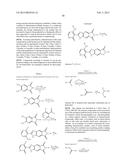 TYROSINE KINASE INHIBITORS diagram and image