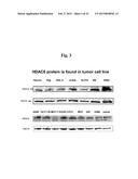 USES OF SELECTIVE INHIBITORS OF HDAC8 AND TREATMENT OF INFLAMMATORY     CONDITIONS diagram and image