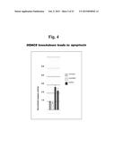 USES OF SELECTIVE INHIBITORS OF HDAC8 AND TREATMENT OF INFLAMMATORY     CONDITIONS diagram and image