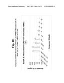 USES OF SELECTIVE INHIBITORS OF HDAC8 AND TREATMENT OF INFLAMMATORY     CONDITIONS diagram and image