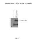 CFTR MRNA COMPOSITIONS AND RELATED METHODS AND USES diagram and image