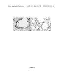 CFTR MRNA COMPOSITIONS AND RELATED METHODS AND USES diagram and image