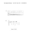 CFTR MRNA COMPOSITIONS AND RELATED METHODS AND USES diagram and image