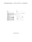 CFTR MRNA COMPOSITIONS AND RELATED METHODS AND USES diagram and image