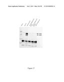 CFTR MRNA COMPOSITIONS AND RELATED METHODS AND USES diagram and image