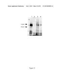 CFTR MRNA COMPOSITIONS AND RELATED METHODS AND USES diagram and image