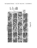 CFTR MRNA COMPOSITIONS AND RELATED METHODS AND USES diagram and image